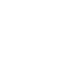 logo with nb initials